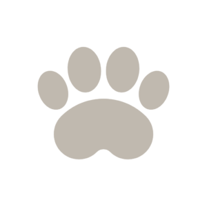 Frizure i šminkanje u Zagrebu Beauty Studio Vitalis